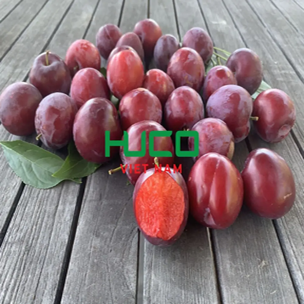 High quality Vietnam Red Fresh Plum Variety Fresh Plum fruits