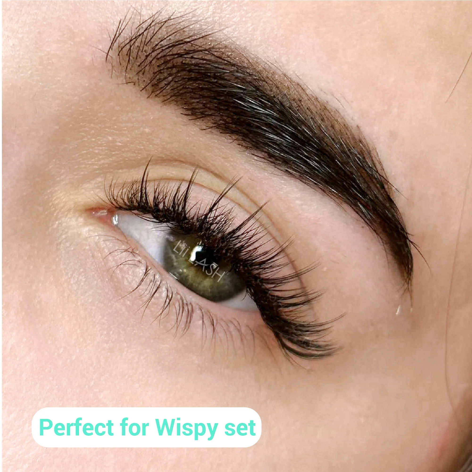 Premium Narrow Fan Lashes - makeup wispy wet lash spike long stem fans eyelash - High-end Korean & German PBT Fiber