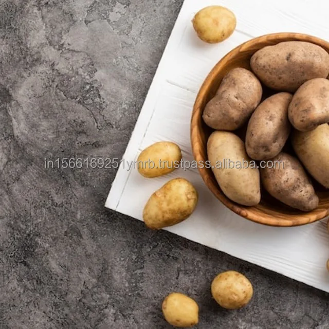 Fresh potato price per ton For Wholesale Buy High quality 100% Organic fresh Potatoes at cheap price