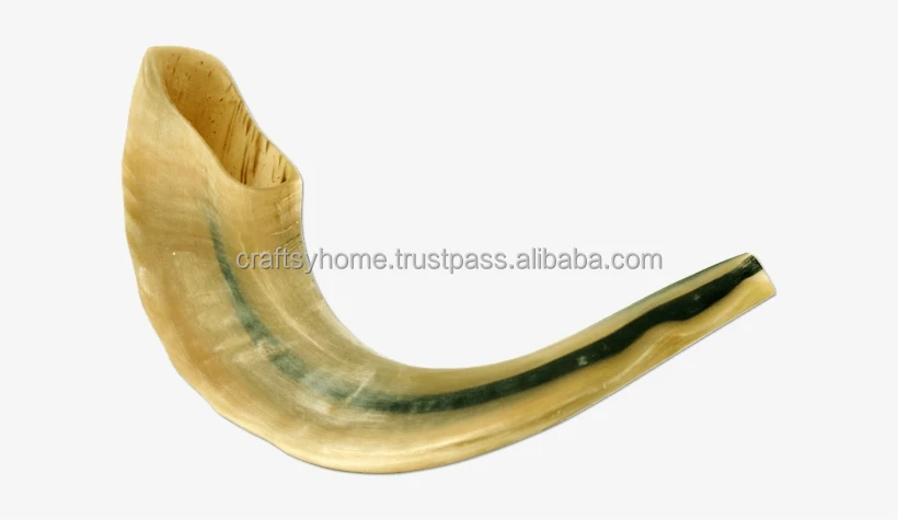 Натуральный Рог Shofar ручной работы для выдувания и религиозного назначения Кошерный полированный сделано в Израиле рог Kudu