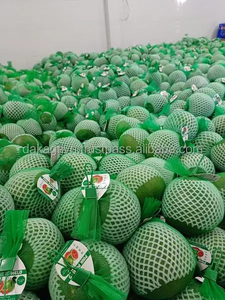 Vietnam Food Common Agriculture 100% Fresh Pomelo Fruit Sour Sweet Cool Storage Agriculture Green Pomelo