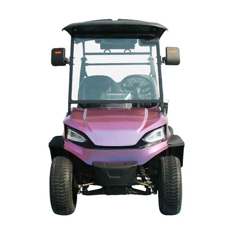 Good premium Wheel Drive Golf Cart for sale 2 Seats Golf Cart wholesale / Golf Cart discount prices