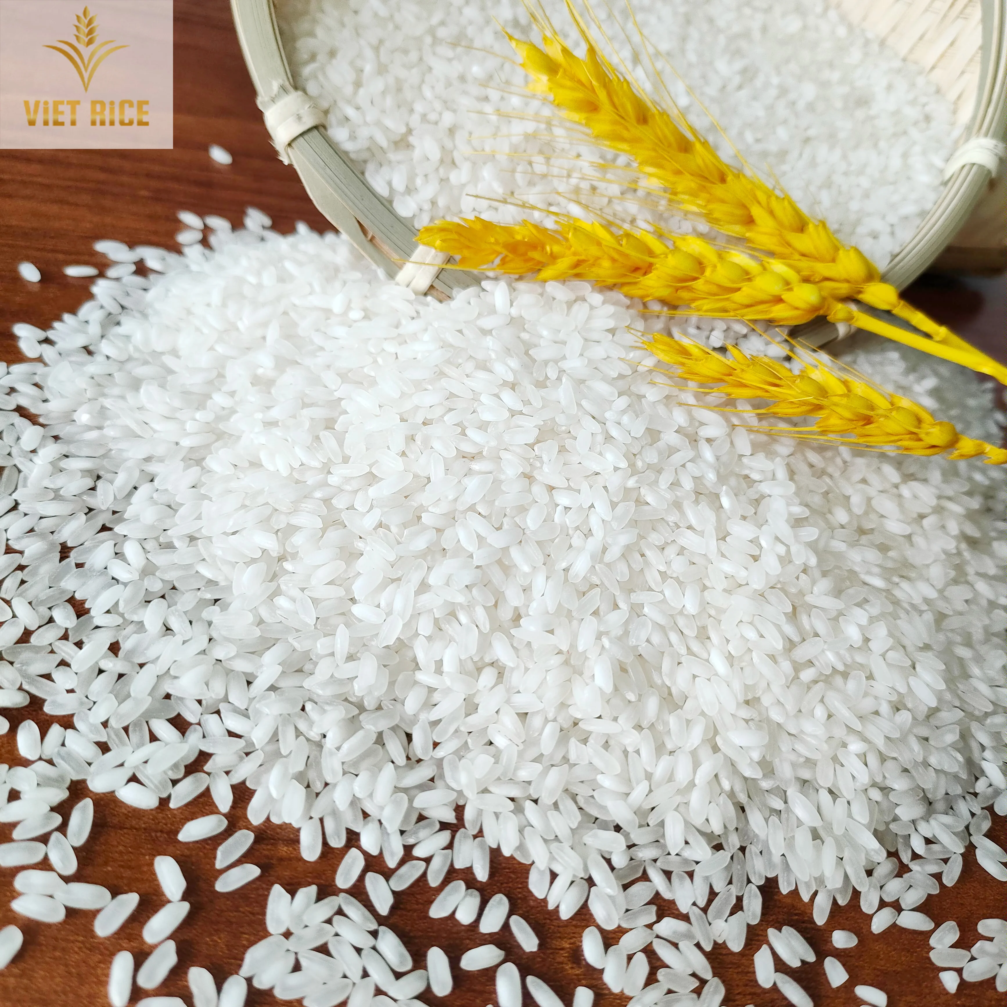 EGYPTIAN CAMOLINO RIZ 5% broken-premium MEDIUM grain white rice supplied from a Vietnamese leading rice manufacturer ad exporter