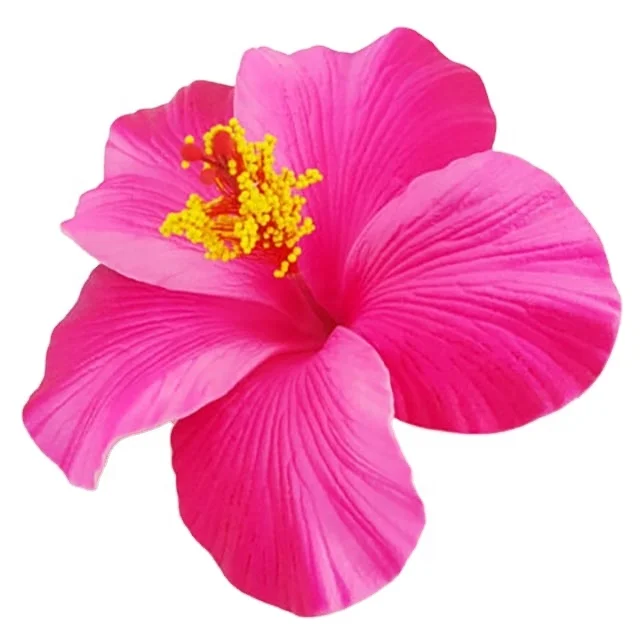 Best seller good quality Handcraft Handmade artificial hibiscus foam flower with special tattoo and color pattern