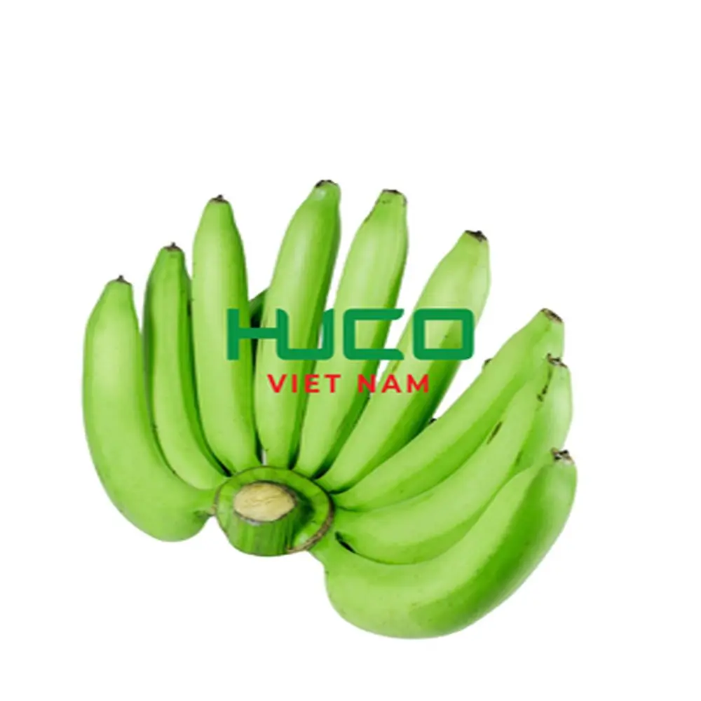 Best selling Fresh Banana from Vietnam Good Price