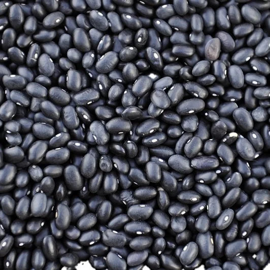Бобы сахар бобы pinto Beans для продажи черная белая красная