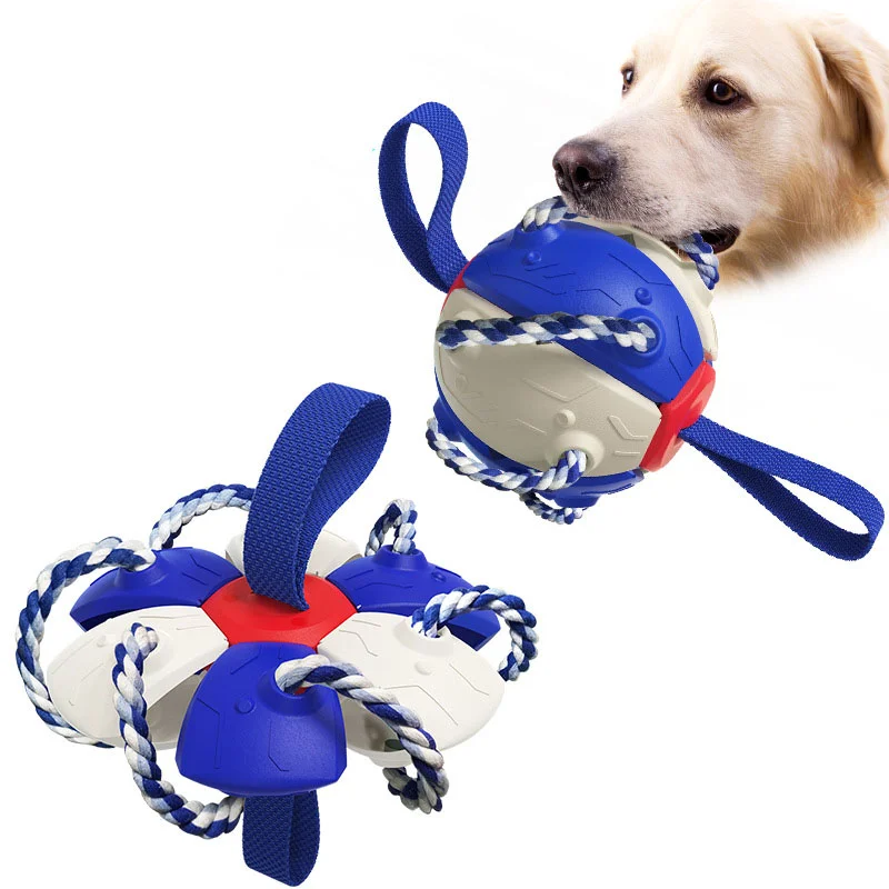Best Selling Outdoor Training Dog Football Toy