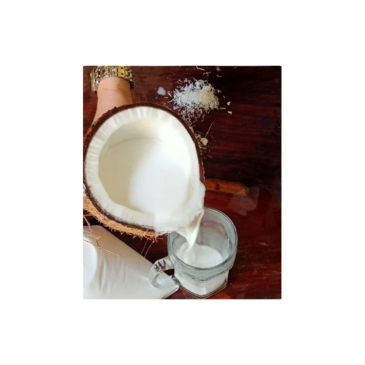 Exporter of Outstanding Quality 100% Natural and Pure Coconut Milk at Reliable Market Price