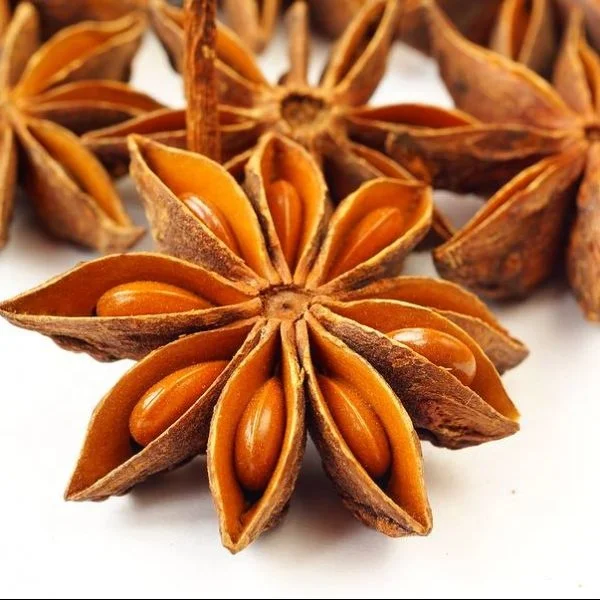 Cheap Price  Sping Star Aniseed Dried Star Anise Herbs Contact Vinapro Group