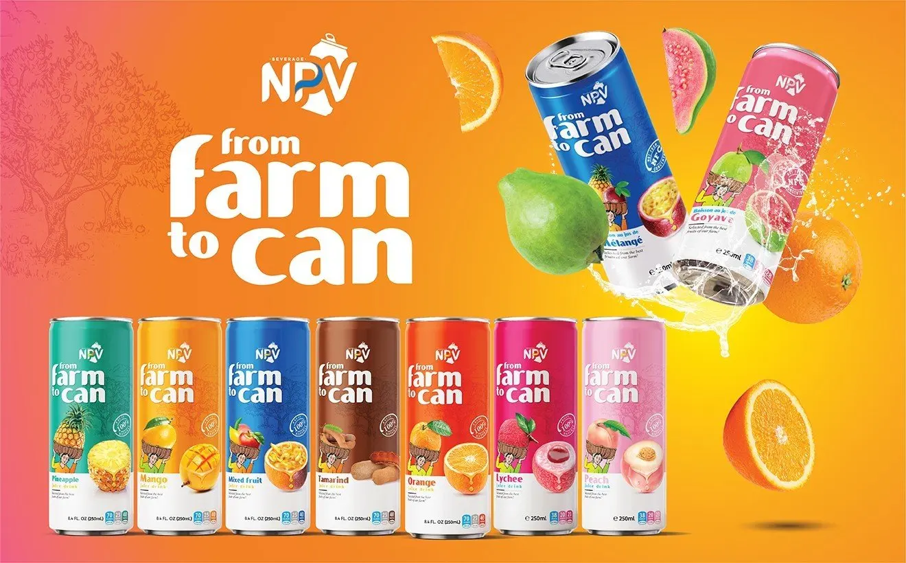 Fresh Soft Drinks Free Product Sample Manufacturer Beverage 330ml Alu Can PAPAYA JUICE DRINK Low MOQ HALAL Certification