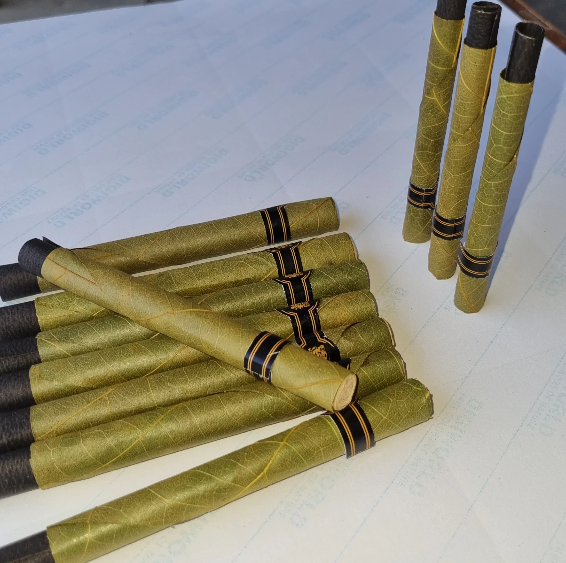 Зеленые и свежие предварительно свернутые листья и конусы cordia и tendu OEM предварительно свернутые листья cordia и tendu наконечники фильтра кукурузной шелухи оптом