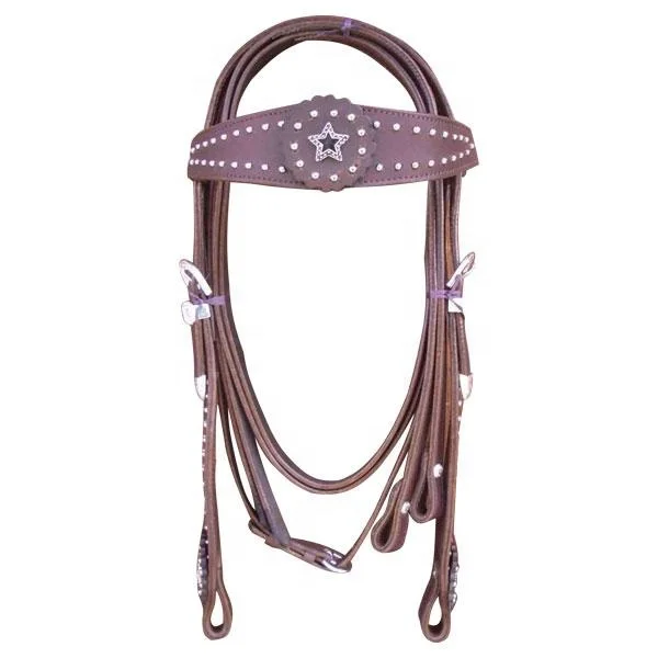 Western Headstall Bridle.