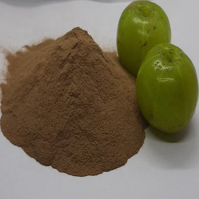 Amla Powder