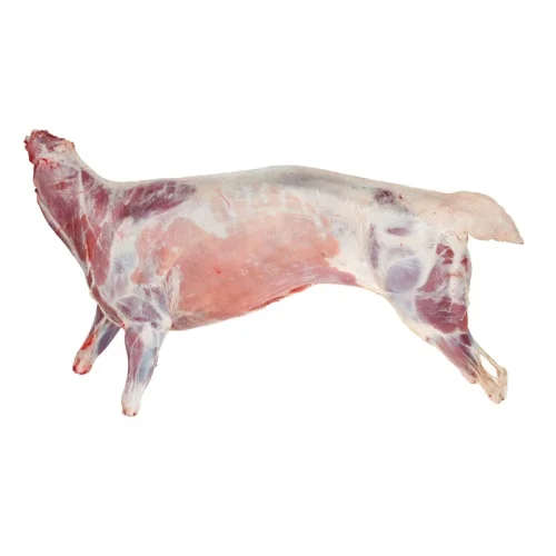 Mutton Carcass, For Restaurant (1600104067479)