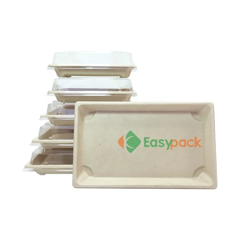 Biodegradable compostable pulp food container sushi takeaway box with lid