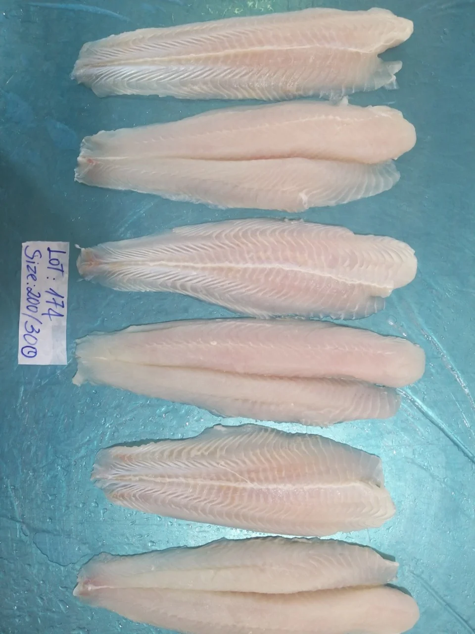 Best quality Seafood Pangasius/ Basa fillet from VietNam
