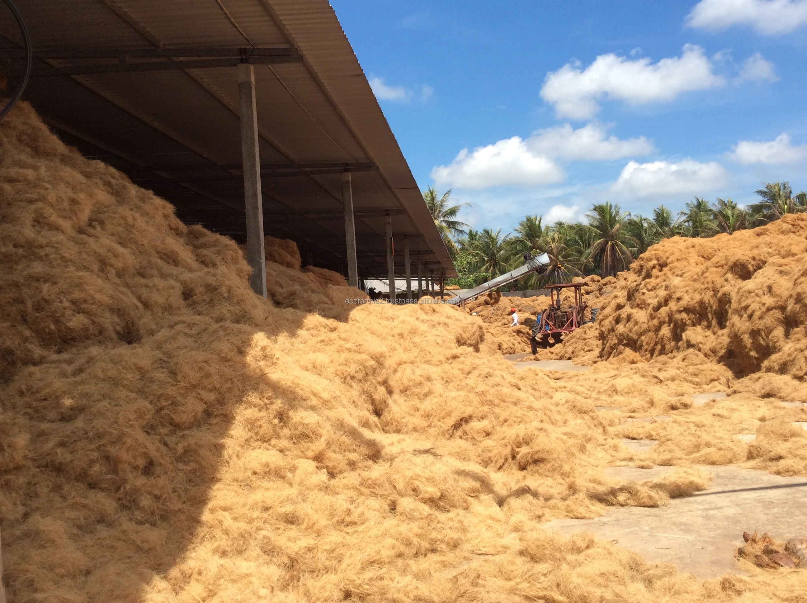 Premium quality bulk quantity coco coir coconut fiber husk bales cheapest prices origin in Vietnam