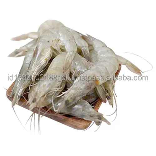 100% Export Oriented High Quality Wholesale Price White Shrimp/Fresh Water Prawn/Frozen Shrimp From Indonesia