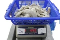 Замороженная безголовая оболочка на креветках VANNAMEI 16/20 высокого качества