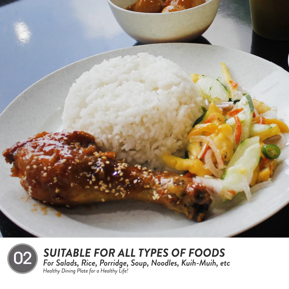 Elianware High Quality Plastic (PP) BPA Free Household Tableware Dining Plates & Dishes Set Manufacturer Malaysia