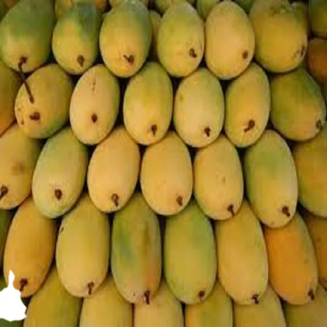 Fresh Chaunsa экспортеры манго в Пакистане желтая тропическая коробка сладкий урожай стиль упаковки цвет вес