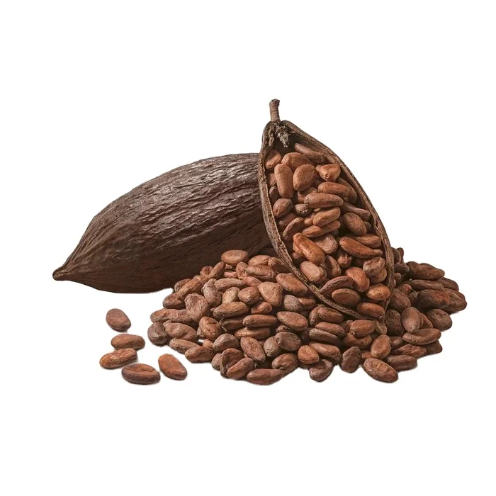 HIGH QUALITY COCOA BEANS COCOA NIPS COCOA POWDER FROM VIETNAM