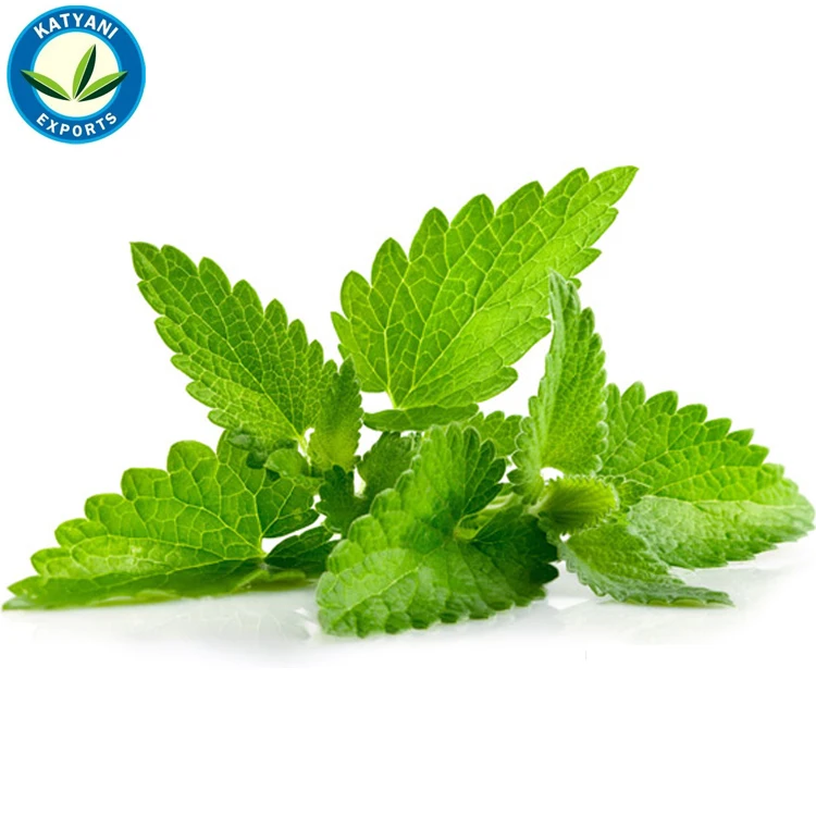 High Demand On Best Quality Fresh Peppermint Essential Oil For Wholesale Trusted Supplier & Manufacturers In India Cold Pressed