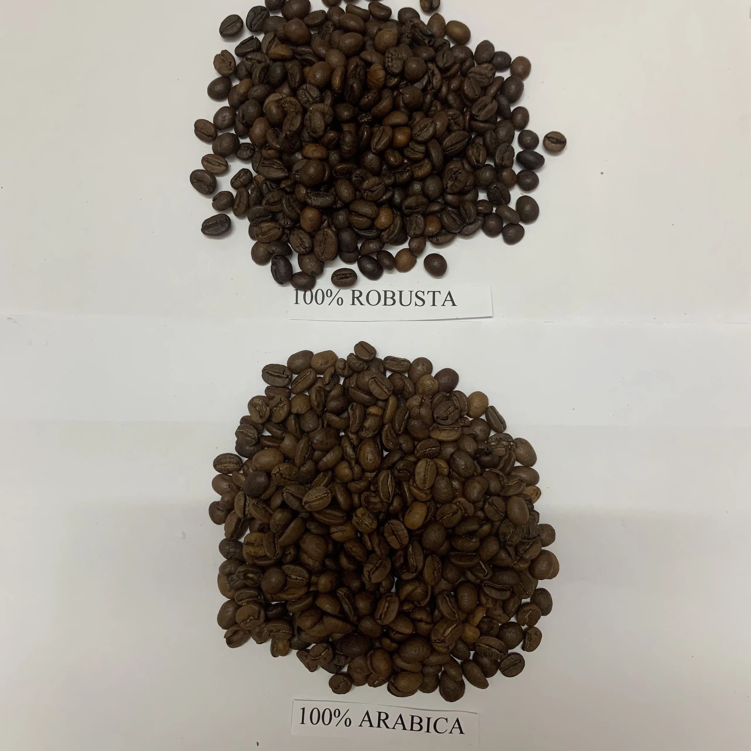 Premium Quality Kirar Raw Roasted Whole Bean Spicailty Arabica Washed 50 kg Strong Good Taste Hot Selling Available in Bulk