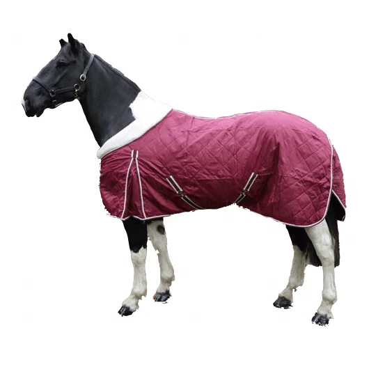 Stable Rugs Best Buy Equestrian Stable Horse Rug With Fleece Collar