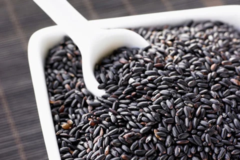 Organic Black Sticky Rice_ Dried Black Rice With Cheap Price For Exporting - Ms Akina +0084-902803631