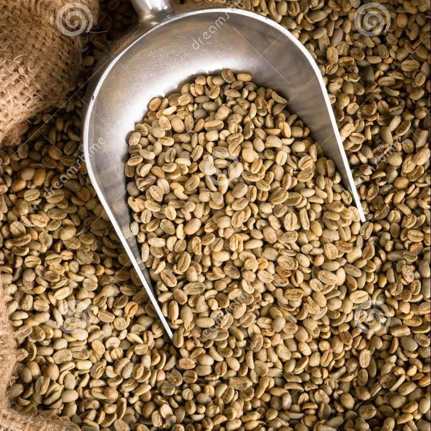 Высококачественный кофе из цельной фасоли вьетнамское фирменное блюдо Robusta Green Bean- Fine Black medy