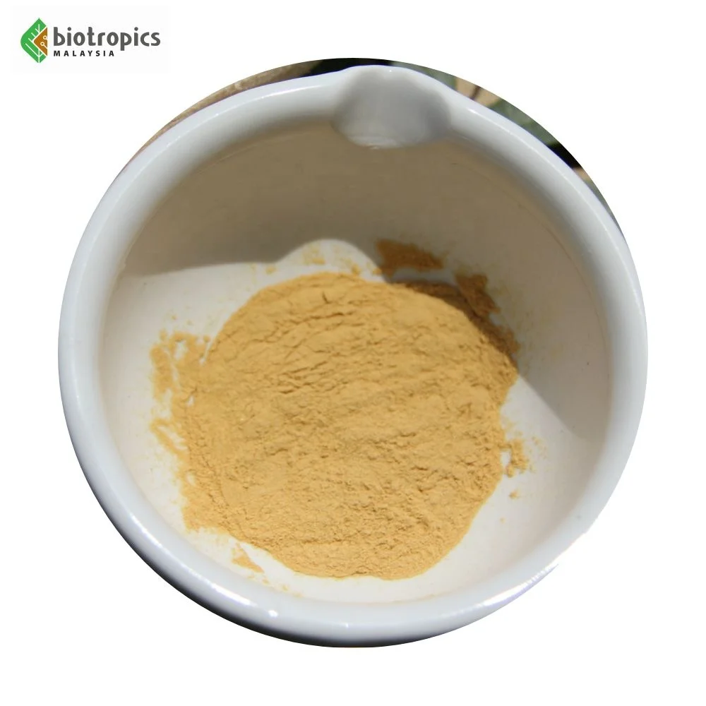 Science-Backed New Bulk Extract Tongkat Ali (Malaysian Ginseng) Root Powder Supplement Wild-Cultivated for Health & Wellness