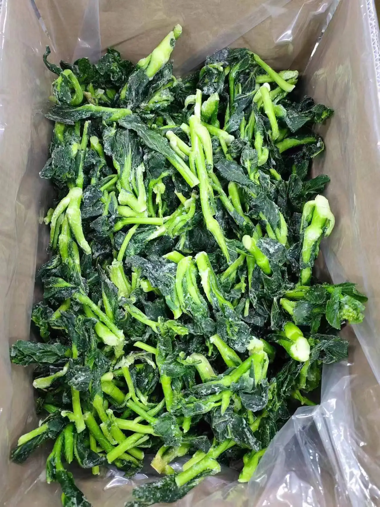 Оптовая цена 10 кг Оптом Зеленая свежая китайская брокколи IQF Choy Sum