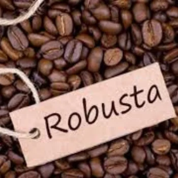 Medium Traditional from Vietnam Beverage Ground 100% Caffeinated Vietnam Original  Roast Ground Robusta Coffee