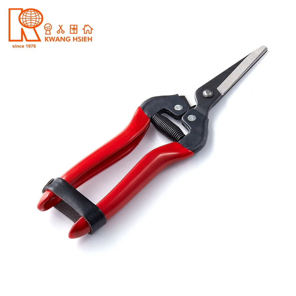 Kwang Hsieh Fruit Trimming Grape Cutting Scissors