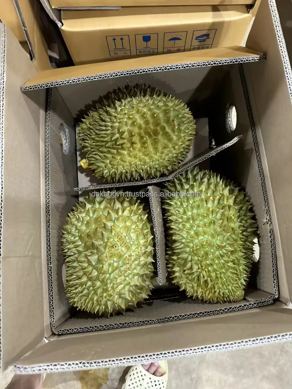 Organic High Quality King Durian Vietnam Agriculture Export Wholesale Fresh Durian With 20 days Shelf Life