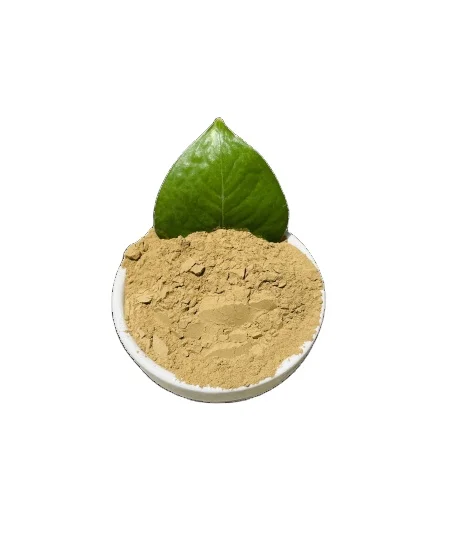 Cheaper Price Organic Sodium Bentonite Bulk Purchase Natural Sodium Bentonite Clay Powder For Drilling Mud