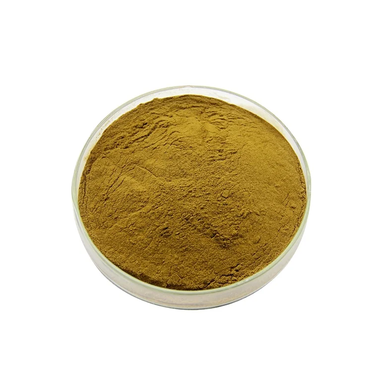 High Quality Pure Natural Hydroxytyrosol 5% 10% Oleuropein 20% 40% Olive Leaf Extract