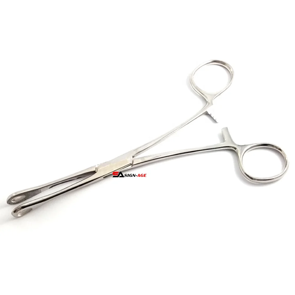 2024 Professional Stainless Steel Foerster Sponge Holding Forceps Body Piercing Tool Surgical Instrument