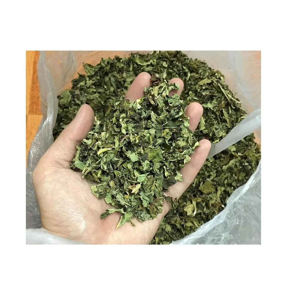
Herb dried papaya leaves/ wholesale dried papaya leaf/ tea herb from Vietnam 
