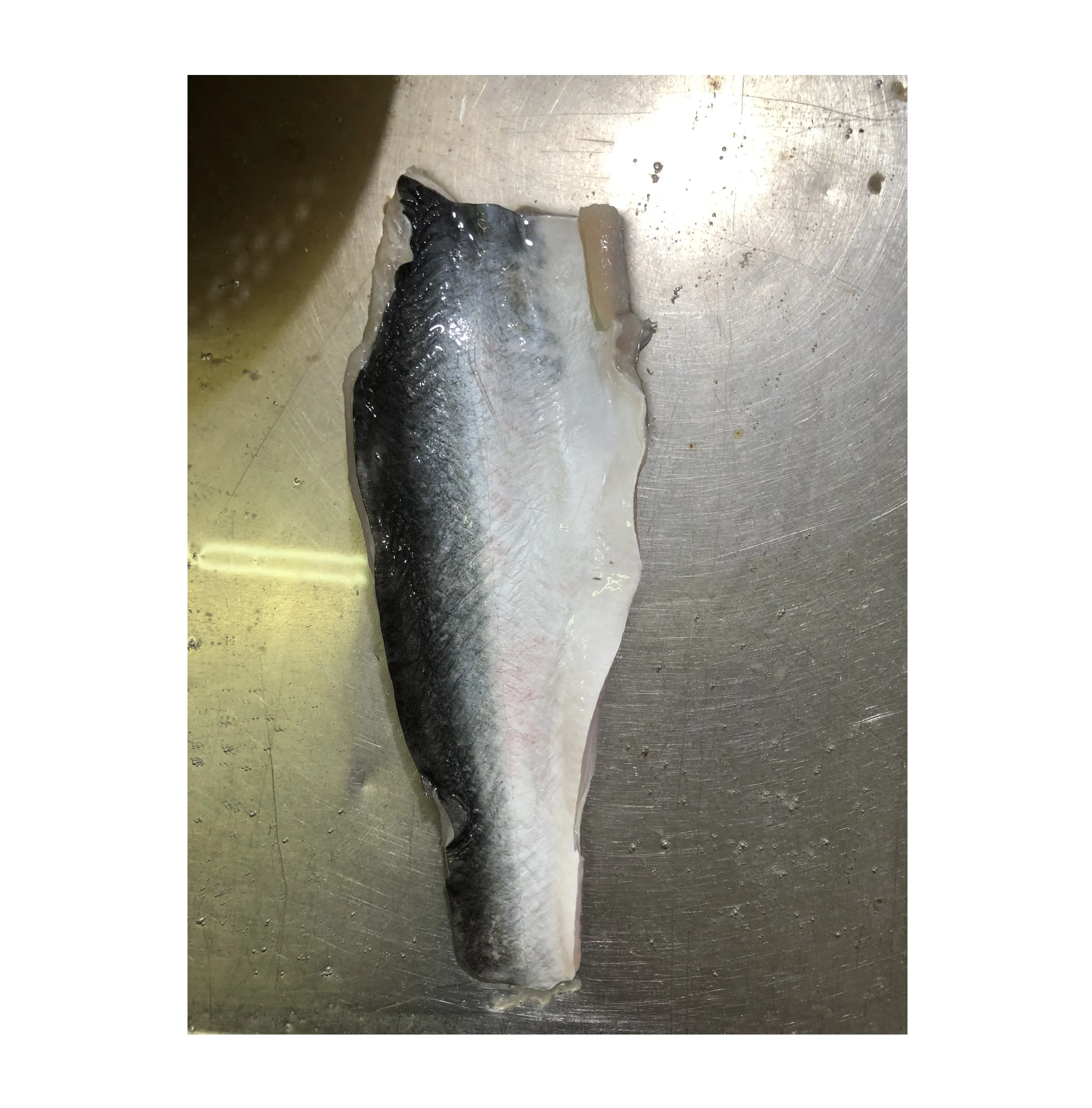 Basa Fillet Skin on/ Pangasius Fillet Skin On High Quality Seafood Brand in Vietnam