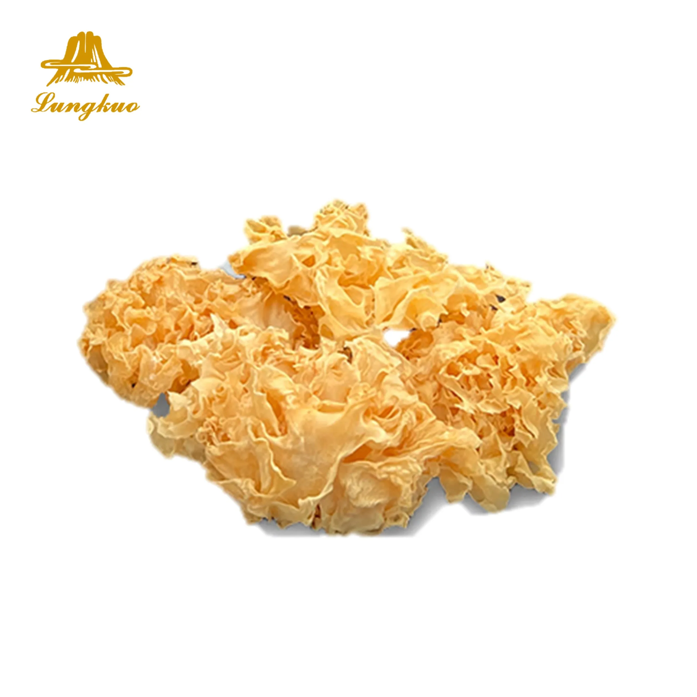 Pure flavorful succulent dried wood ear fungus