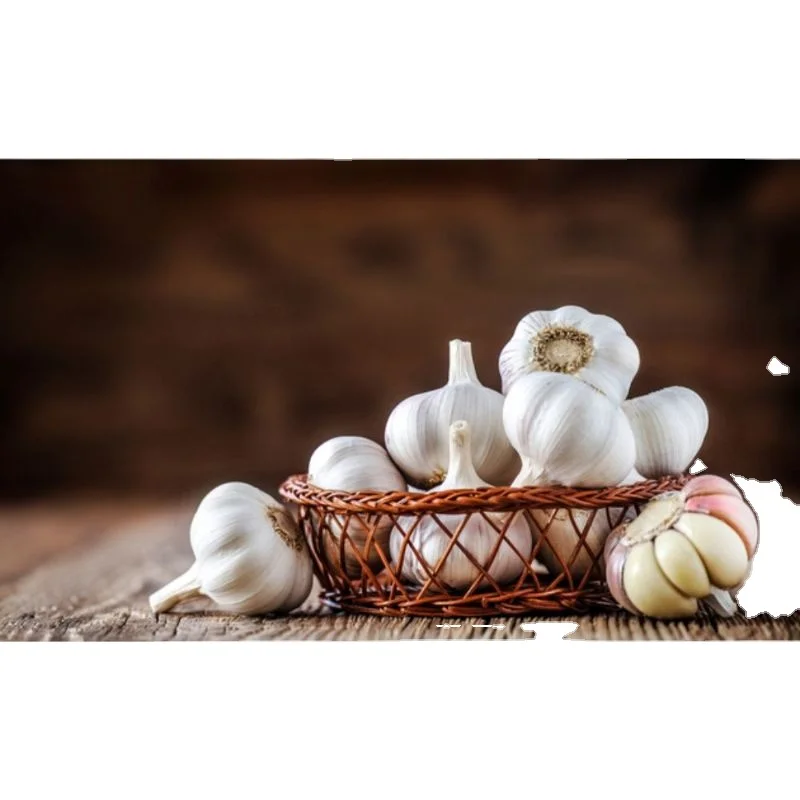PRODUCRES OF INDIAN GARLIC FRUITS COMPANY