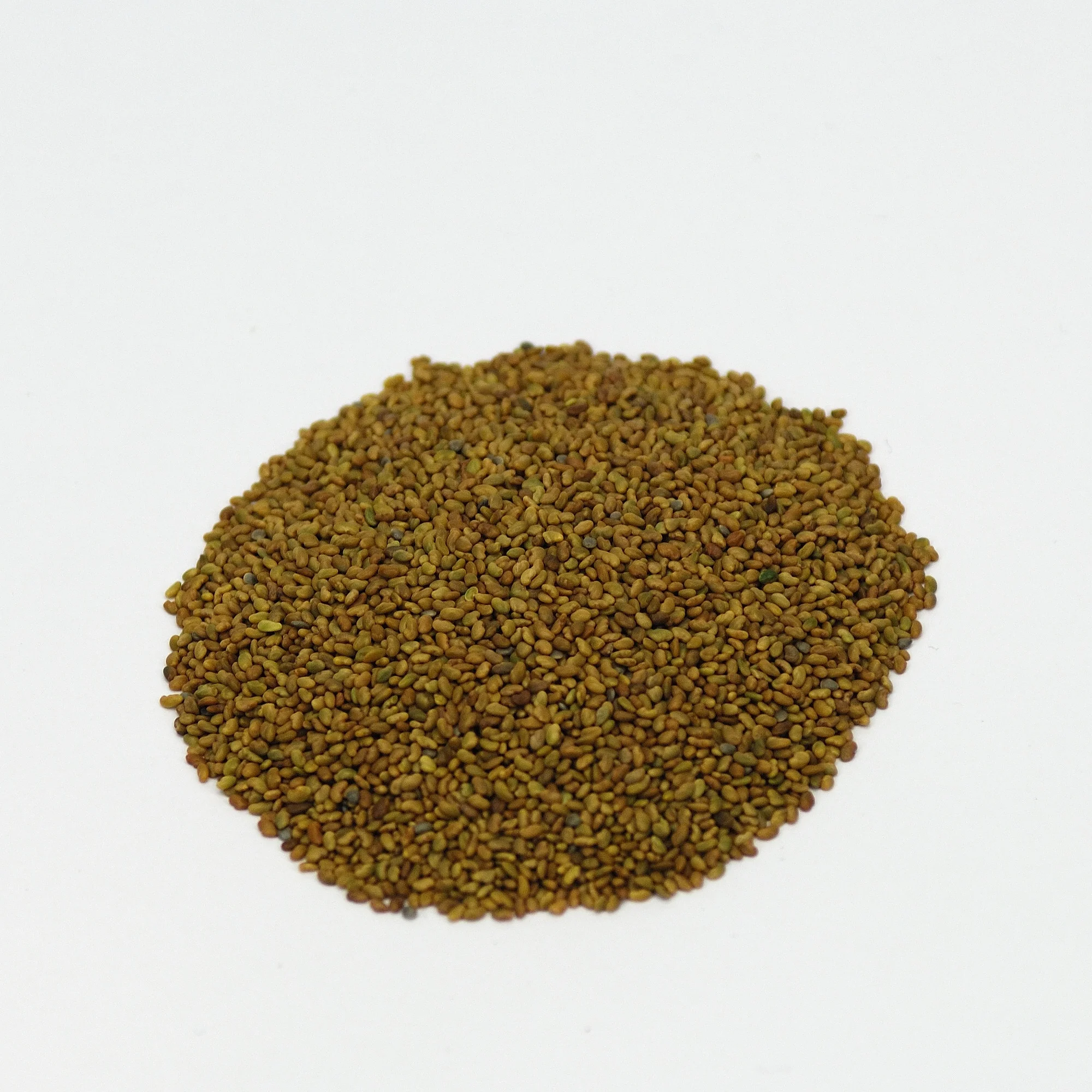 Premium Grade Alfalfa Seeds for Animal Feeding Stuff Alfalfa / Alfalfa Seeds farm price