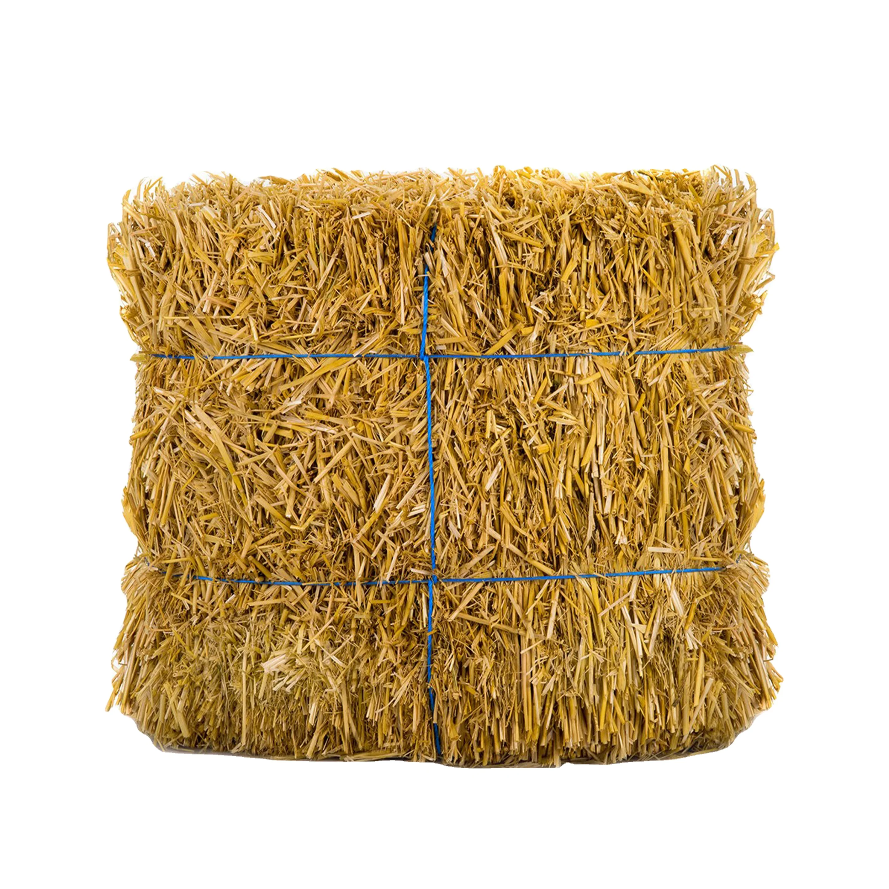 Wheat straw hay bales for cattle sheep cow and Goat for sale