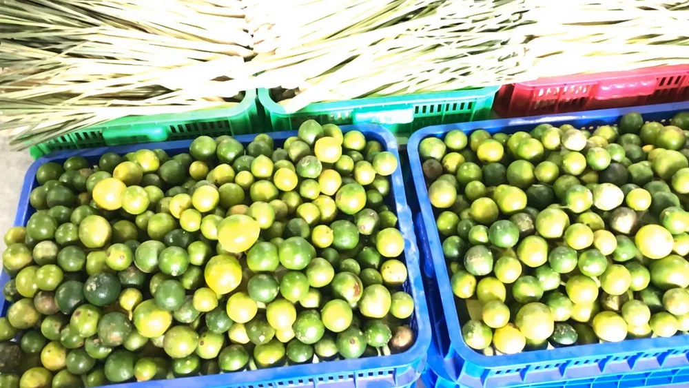 750ml Bottle VINUT Syrup Lime juice Vietnam Company Distribution Fruit Syrup Fresh Liquid Lime fruit Concentrated Juice