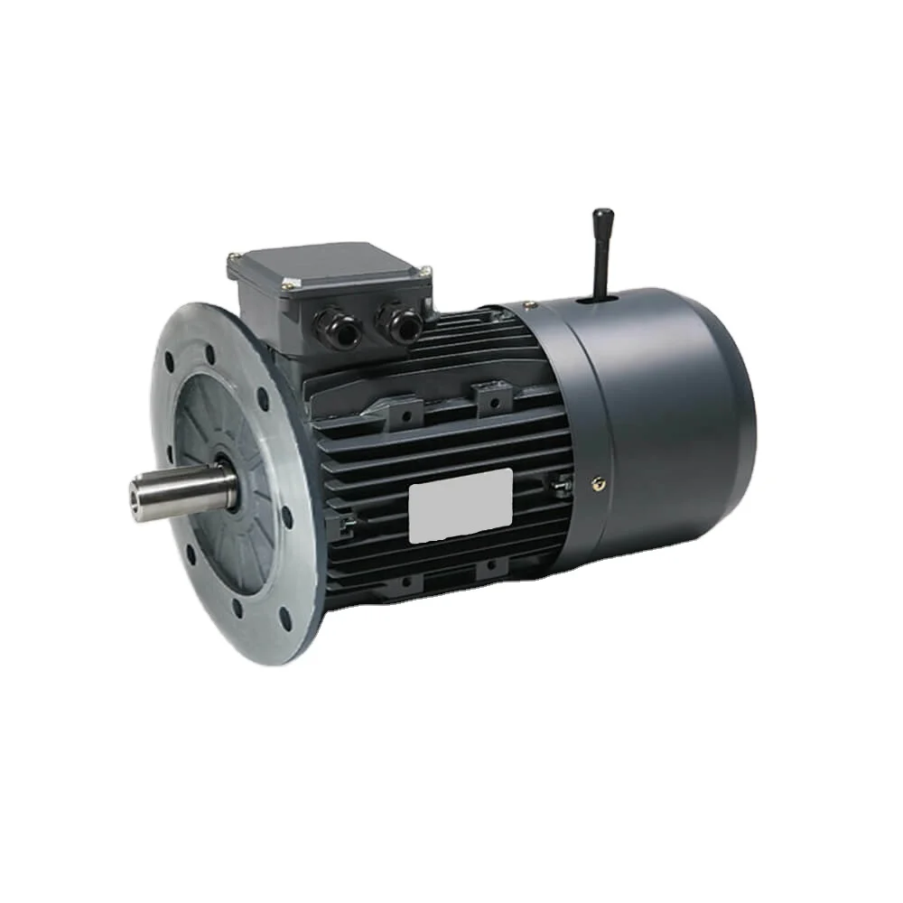 Customised Factory Made Wholesale High Quality Top performance 3 HP Three Phase Squirrel cage Induction Motor