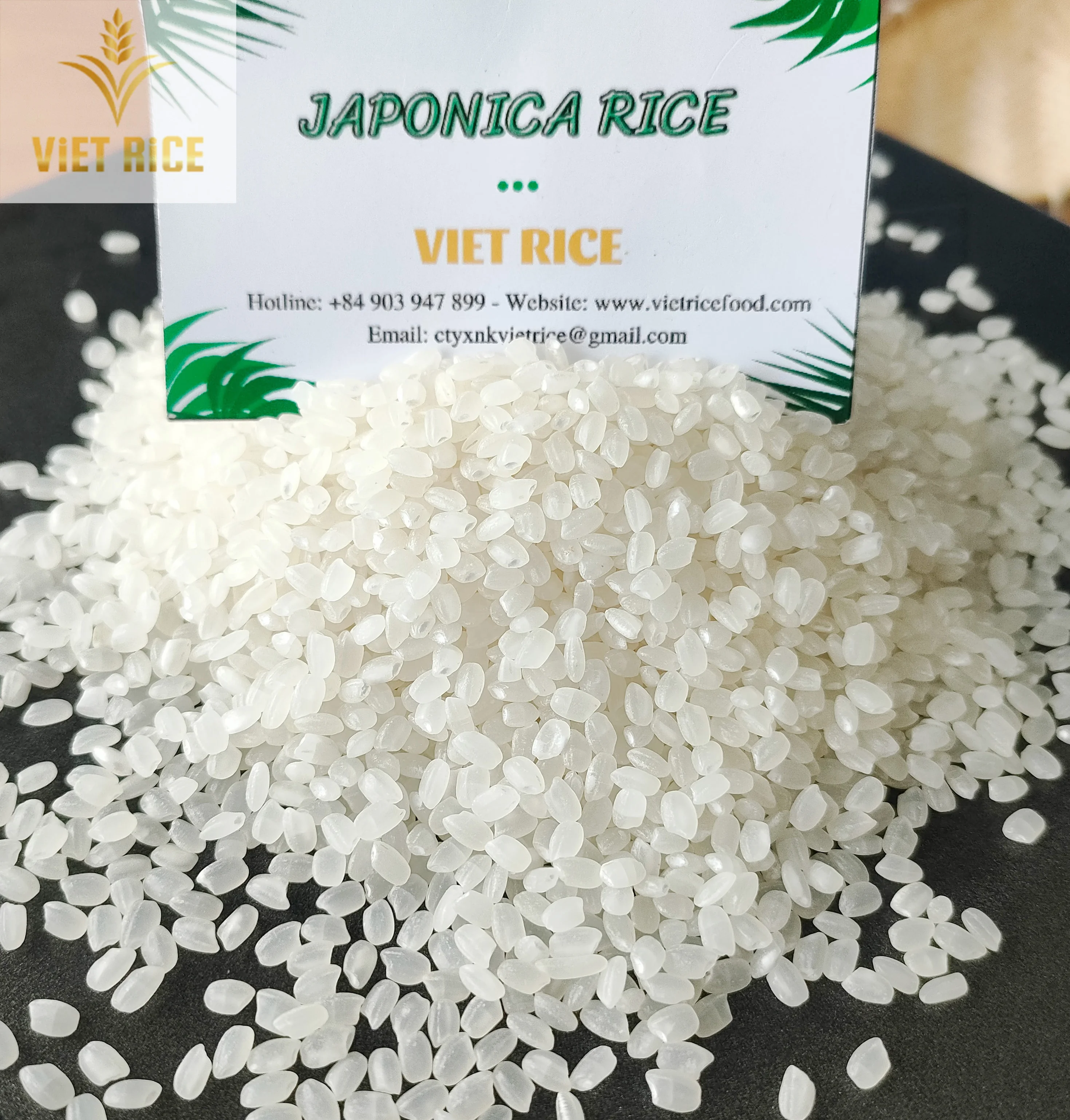 JAPONICA rice premium quality, is in large quantity, good price in the market. from Vietnam contact for good price +84829044060