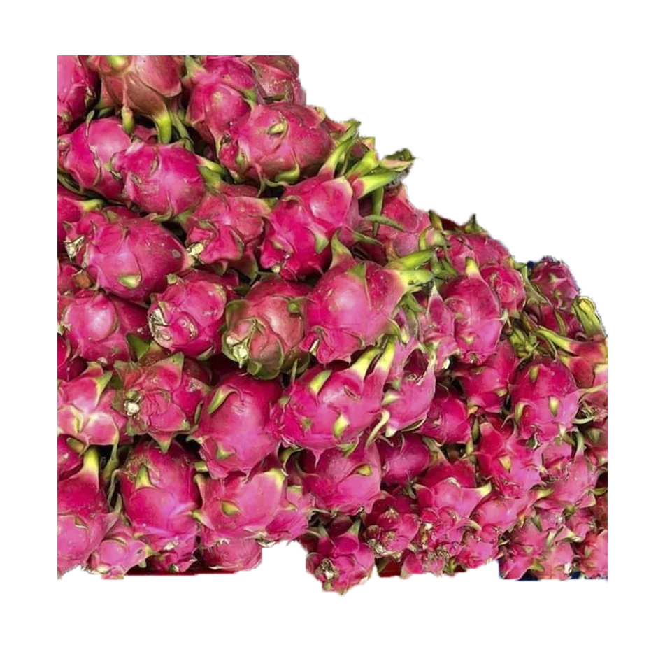 Cheap Price Dragon Fruit For Snack For Dessert No Preservatives Bulk Sales Carton Box Wooden Packaging Vietnam Manufacturer