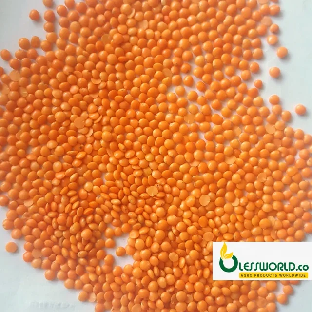 Red Lentils